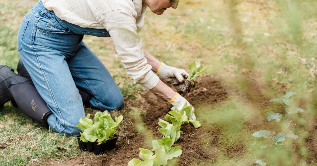 Gardening and Hand Health: Protect Your Grip, Avoid Injury